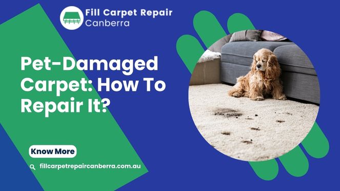 Pet-Damaged Carpet: How To Repair It?