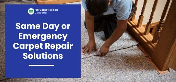 Same Day Carpet Repair Services in O'Malley