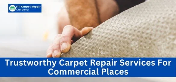 Commercial Carpet Repair Services in O'Malley