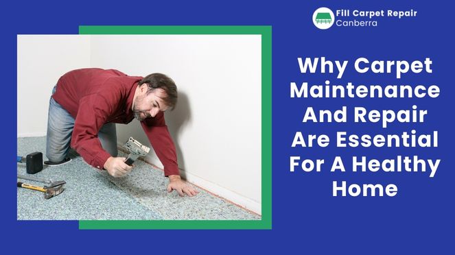 Why Carpet Maintenance And Repair Are Essential For A Healthy Home
